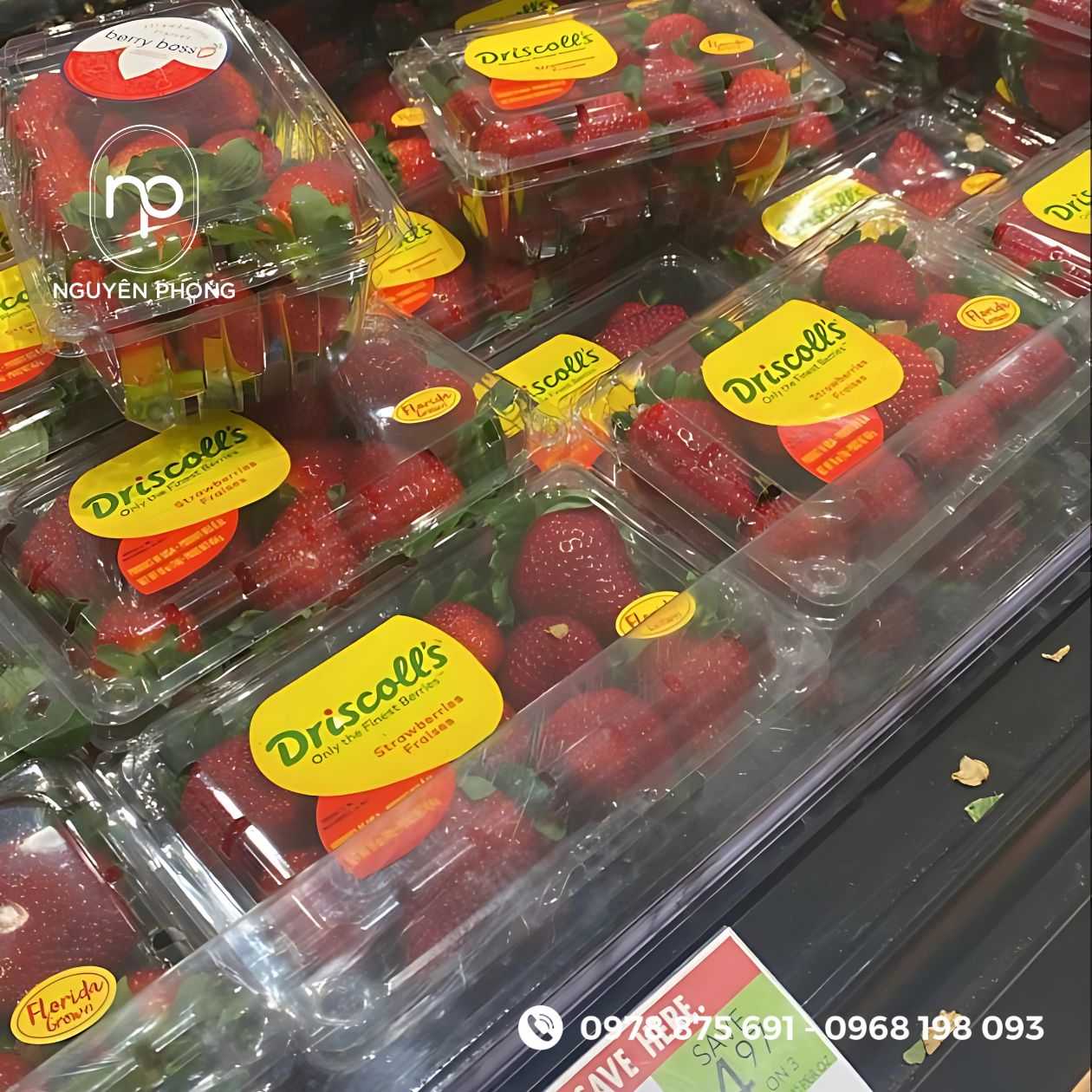 Mẫu tem dán dâu tây 

